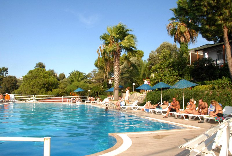Placeholder