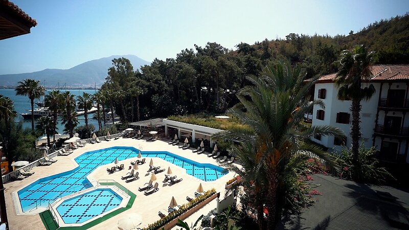 Placeholder