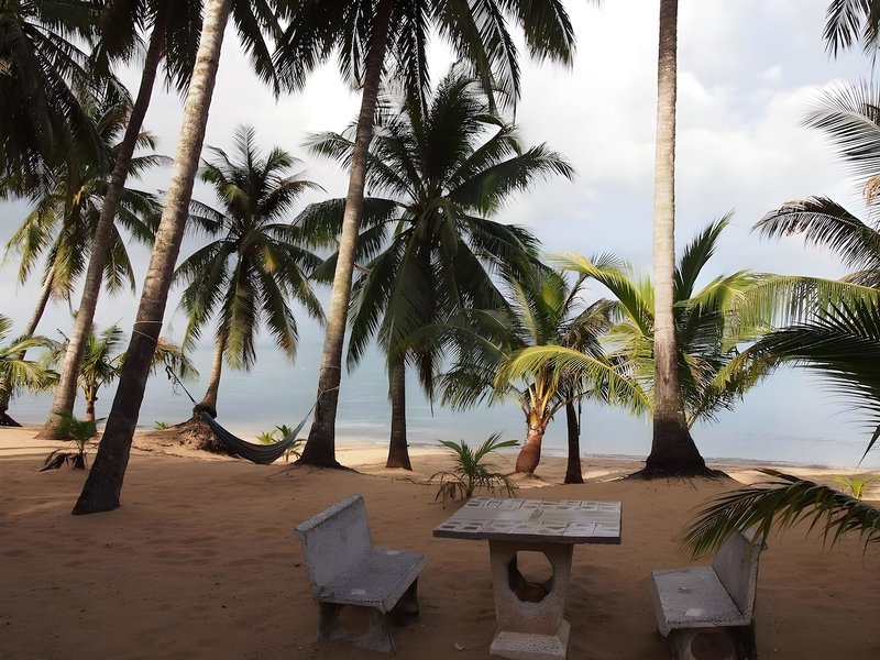 Placeholder